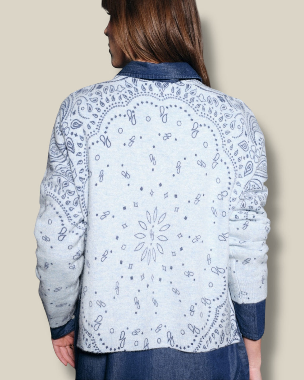 blue-ciel-dames-trui-van-wol-met-lange-mouwen-print-ronde-hals-route66-van-ma-petite-capsule-she-stories-gwen