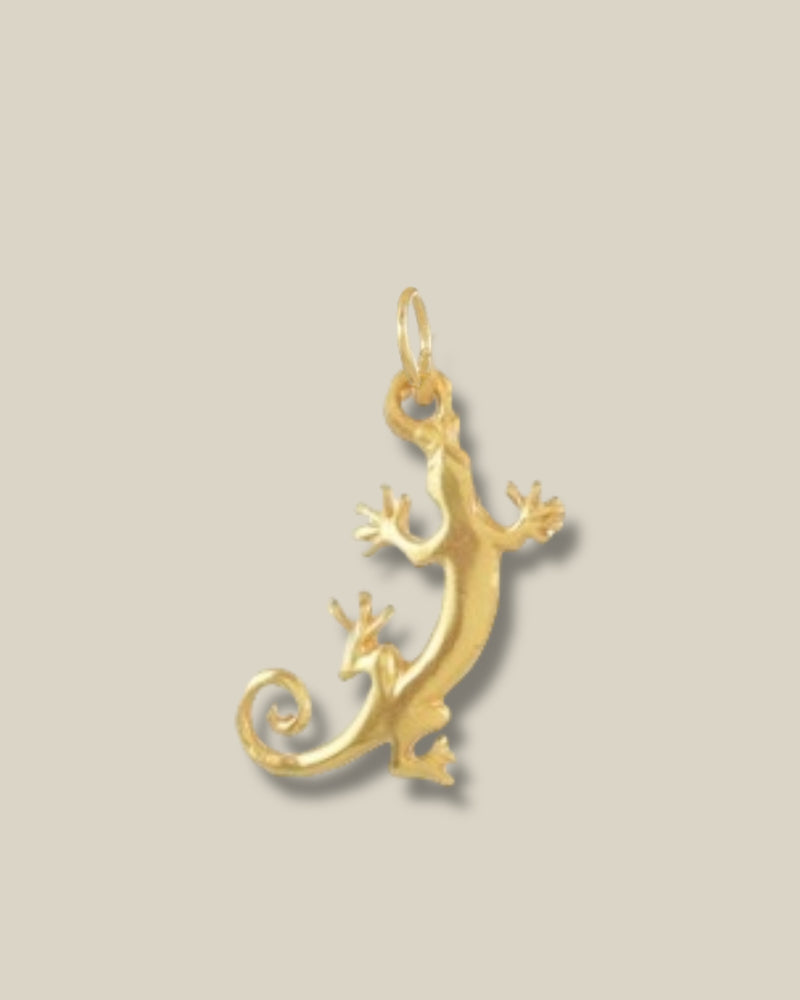 I am Jai - Bedel salamander